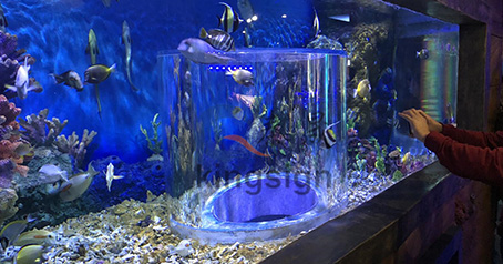 Wuxi ocean underworld aquarium projekt.